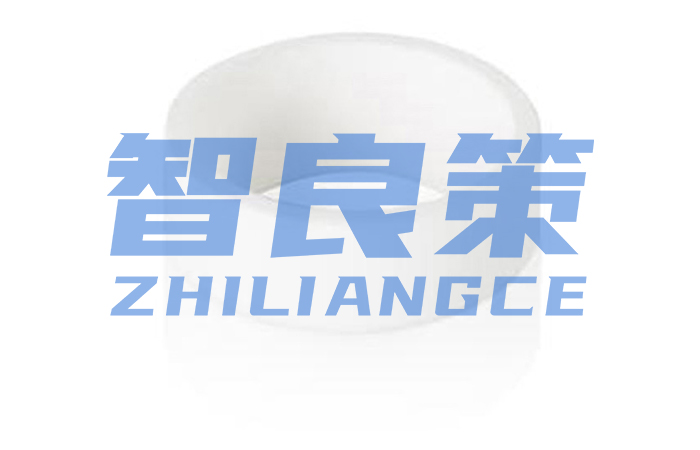 ABB機(jī)器(qì)人(rén)蜘蛛手軸承套圈【智良策】